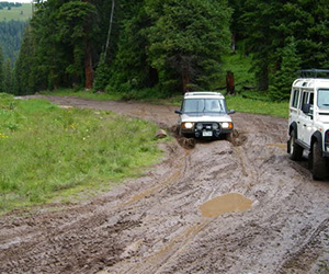 2009 Land Rover 15 | JC's British & 4x4