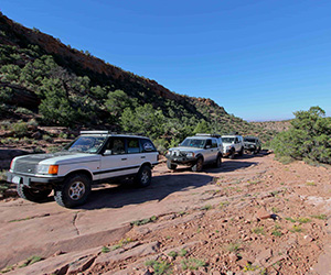 2014 Land Rover 29 | JC's British & 4x4