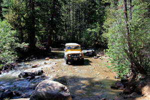 Rover River | JC's British & 4X4