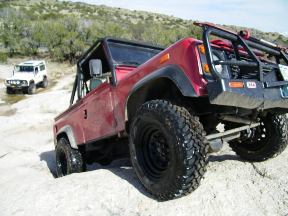 Rover Social
